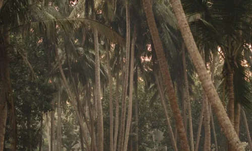 grand 16