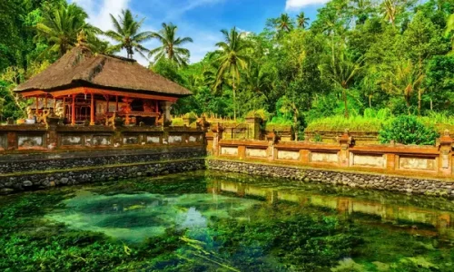 ubud 5